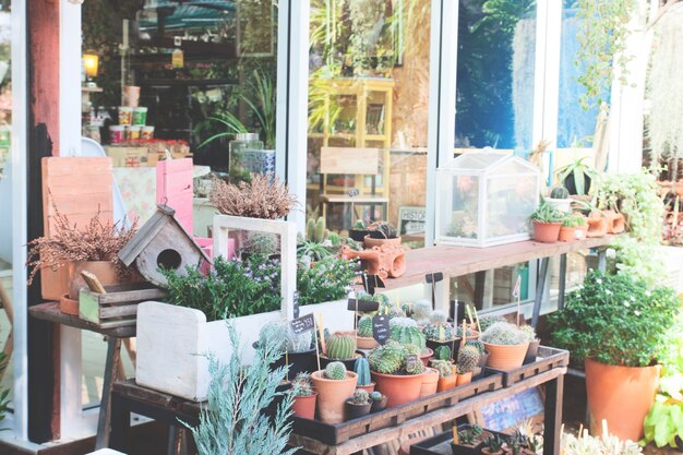 Decoraciones de jardín con casa de aves y pequeñas plantas