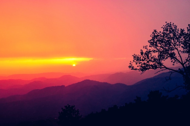 Foto gratuita dedos rocosos madera paisaje sueño