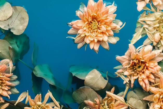 Delicadas flores en agua azul