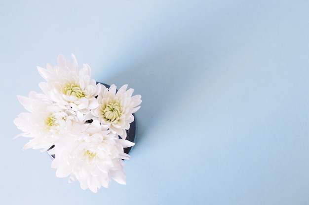 Foto gratuita delicadas flores en florero