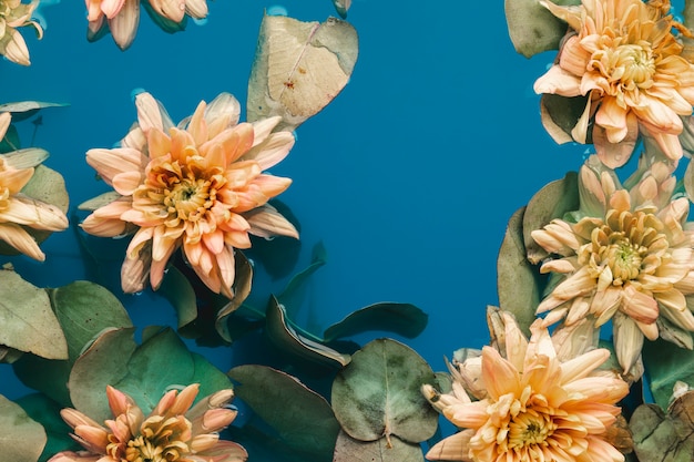 Delicadas flores con hojas en el agua