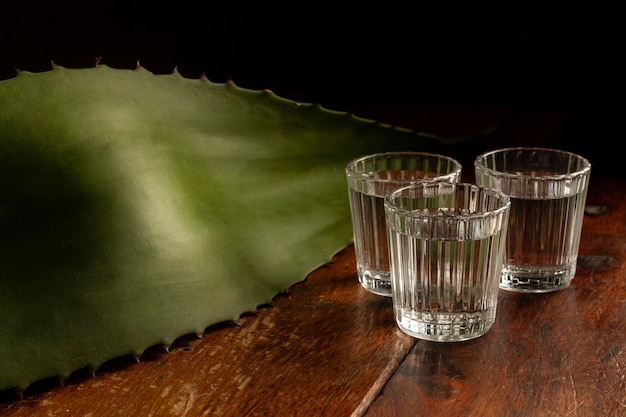 Deliciosa composición de bebida de mezcal.