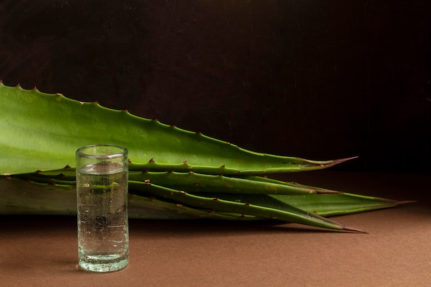 Deliciosa composición de bebida de mezcal.