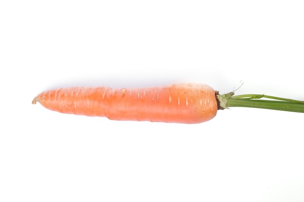 Deliciosa zanahoria cruda
