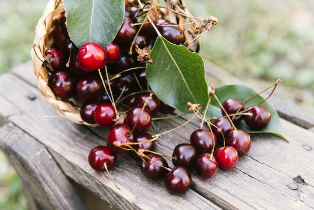 Deliciosas cerezas en banco de madera