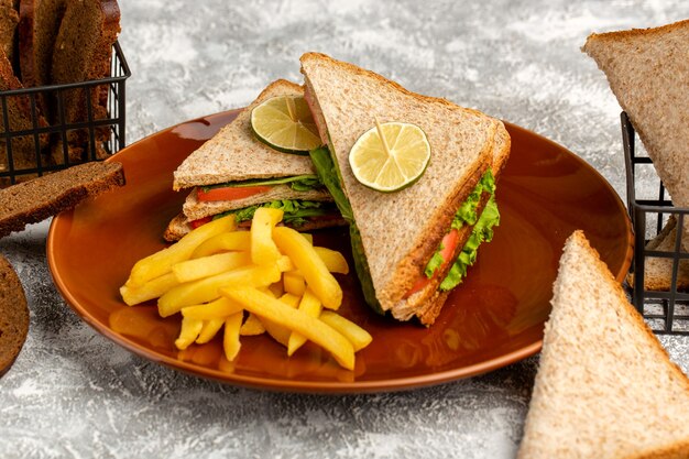 Delicioso sándwich con ensalada de tomates verdes y jamón dentro del plato con papas fritas