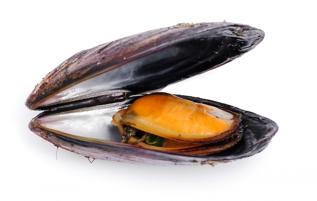 Foto gratuita deliciosos mejillones en blanco