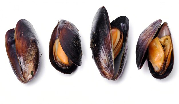 Deliciosos mejillones en blanco