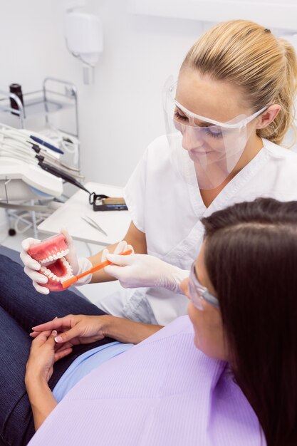Dentista mostrando dientes modelo a paciente femenino
