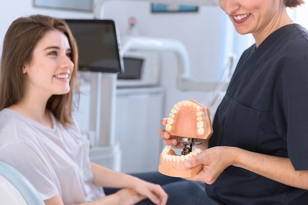 Foto gratuita dentista mostrando el modelo de los dientes al paciente sonriente