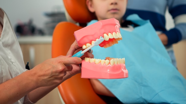 Dentista pediátrico que muestra la correcta higiene dental mediante maqueta de esqueleto de dientes. Médico estomatólogo que explica la higiene dental adecuada al paciente que sostiene una muestra de mandíbula humana con un cepillo de dientes.