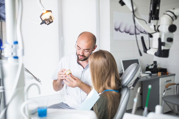 Dentista que muestra la mandíbula dental a su paciente femenino