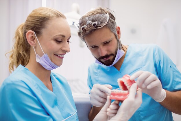 Dentistas discutiendo sobre modelo de dientes