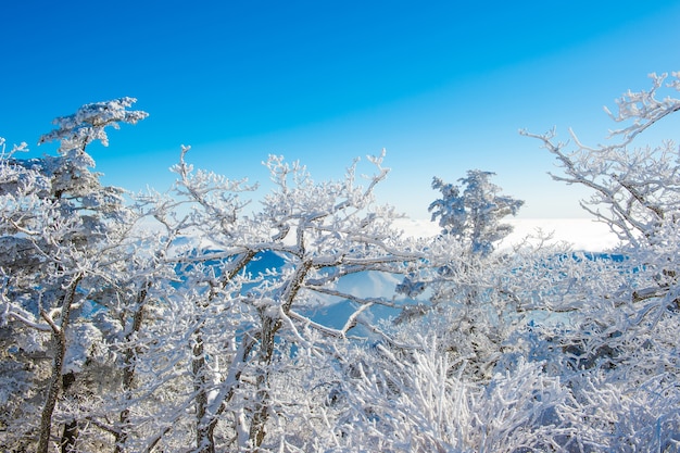 Deogyusan en invierno, corea