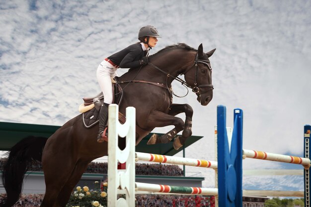 Deporte ecuestre Niña monta a caballo en el campeonato