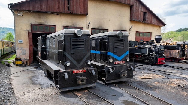 Depósito con trenes en una estación de tren en Rumania