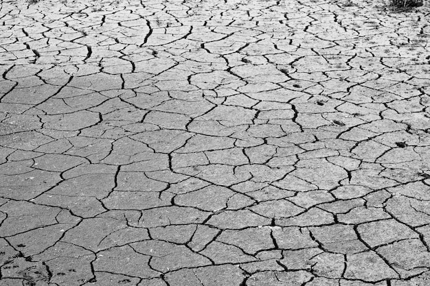 Desastre ecológico de la salinidad del suelo agrietado