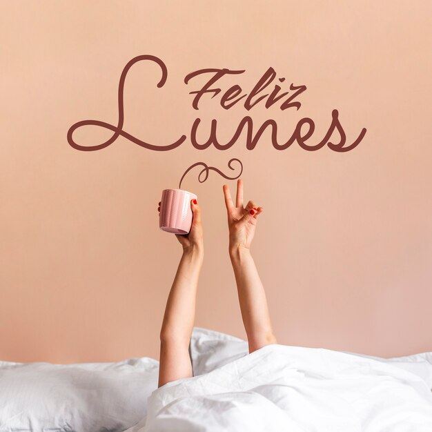 Deseando feliz lunes en español