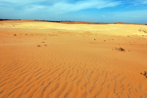 Desierto en un día soleado