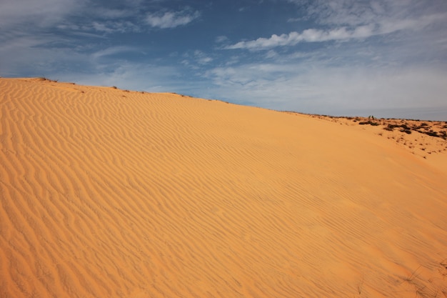 Desierto en un día soleado