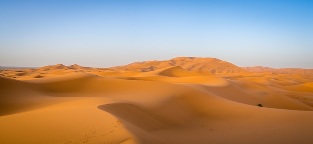 Desierto del sahara bajo la luz del sol y un cielo azul en marruecos en áfrica
