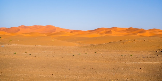 Desierto del Sahara bajo la luz del sol y un cielo azul en Marruecos en África