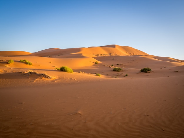 Desierto del Sahara bajo la luz del sol y un cielo azul en Marruecos en África