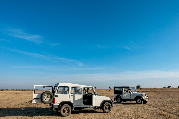 Desierto de Thar en Rajasthan India