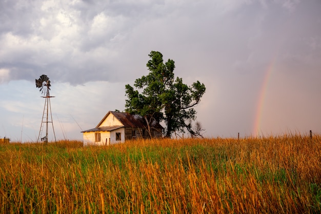 Después de la tormenta trae un colorido arcoiris