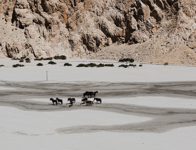 Foto gratuita destino de viaje de la india hermoso atractivo