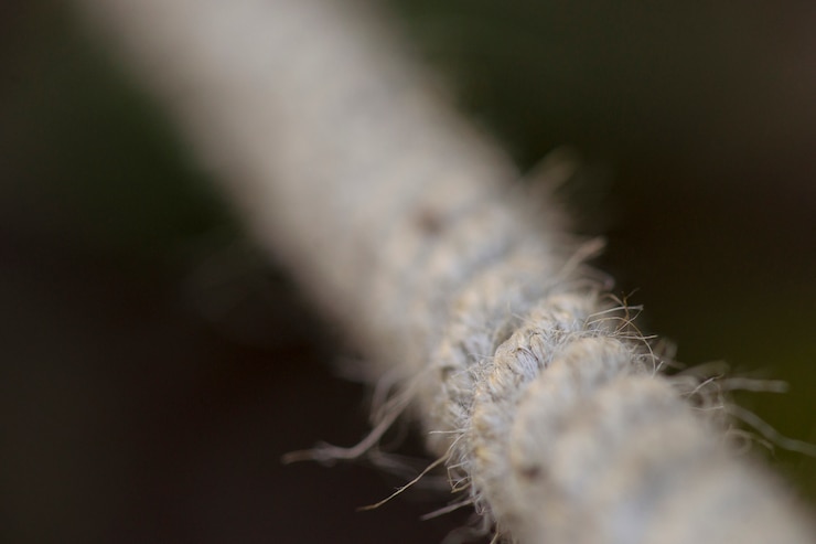 Photo Gratis detailed rope picture
