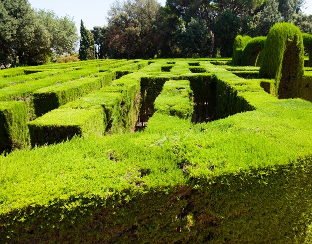 Detalle del Laberinto en Parc del Laberint