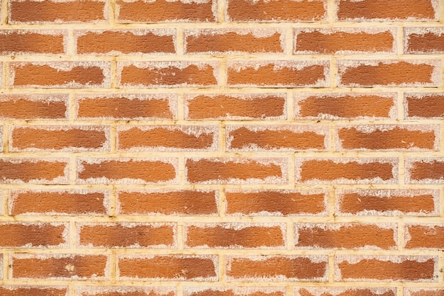 Detalle de la pared de edad macro de naranja