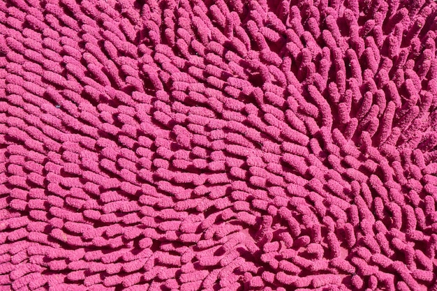 Detalle púrpura rosa cerca de macro