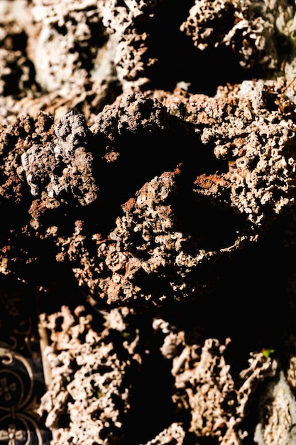 Foto gratuita detalle de un tronco marrón