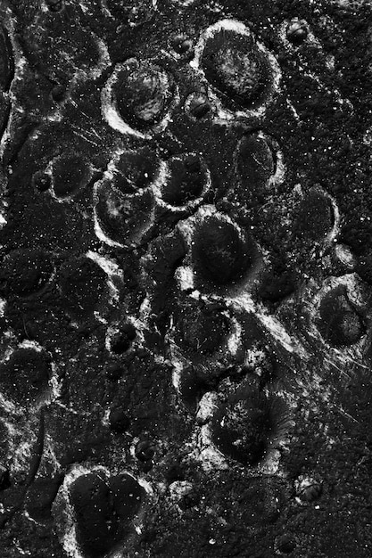 Foto gratuita detalles en blanco y negro del concepto de textura lunar