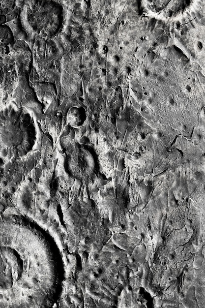 Detalles en blanco y negro del concepto de textura lunar