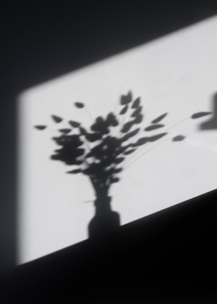 Detalles de sombras naturales y abstractas