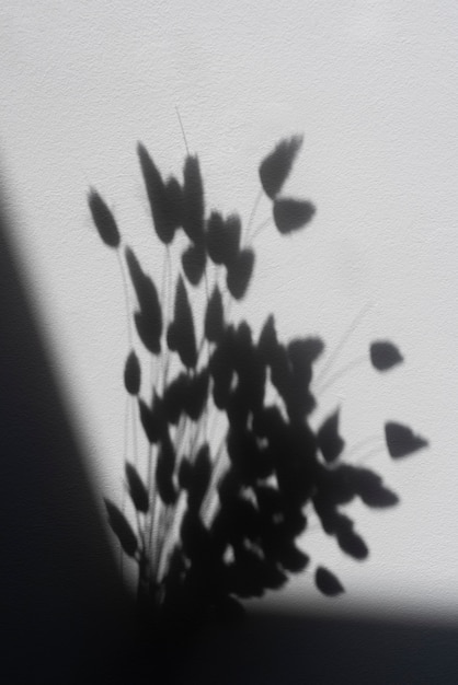 Detalles de sombras naturales y abstractas