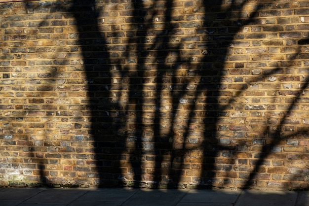 Foto gratuita día en la ciudad con sombras arquitectónicas.