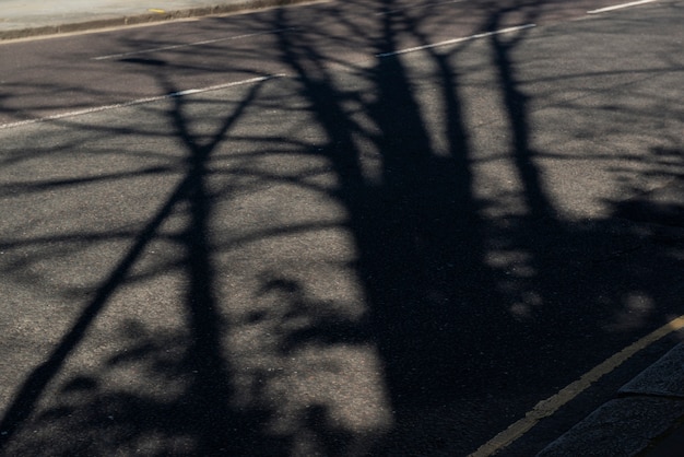 Día en la ciudad con sombras arquitectónicas.