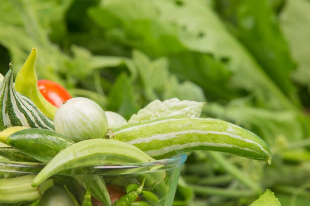 Día Mundial de la Alimentación, variedad de verduras coloridas.