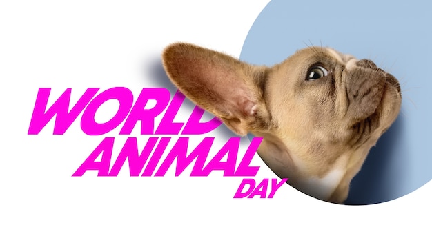 Foto gratuita día mundial de los animales con adorable perro.