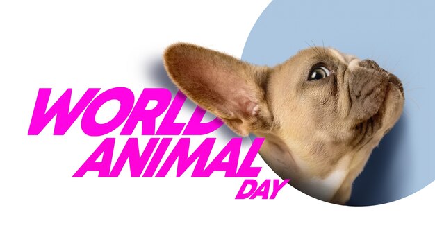 Día mundial de los animales con adorable perro.