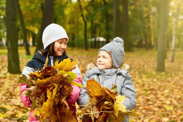 Dia de otoño