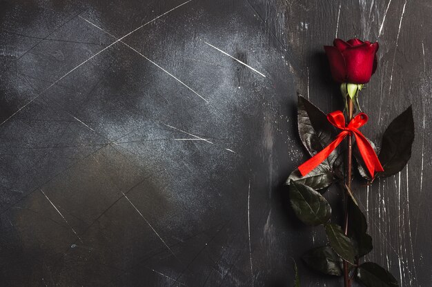 Día de San Valentín mujer madres día rosa roja regalo sorpresa