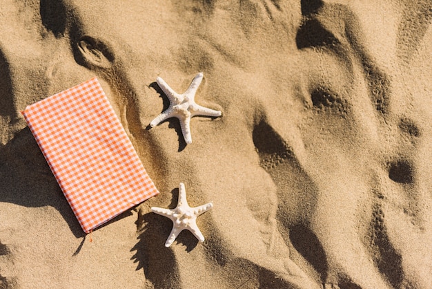 Foto gratuita diario y estrellas de mar en la arena