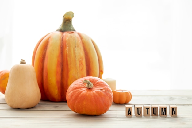 Diferentes calabazas en mesa de madera