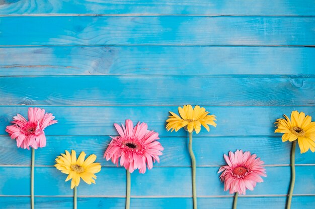 Diferentes flores en la mesa azul