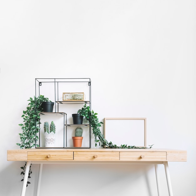 Diferentes plantas en escritorio